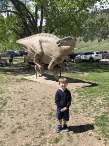 dinosaur ridge