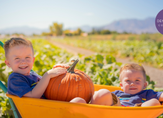 little boys sitting in wheelbarrow at one of the denver pumpkin patches