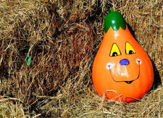 painted pumpkin in haystack