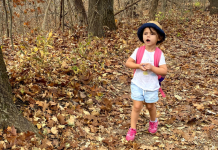 little girl hiking in leaves