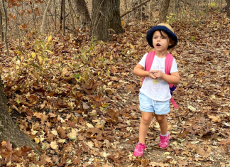 little girl hiking in leaves