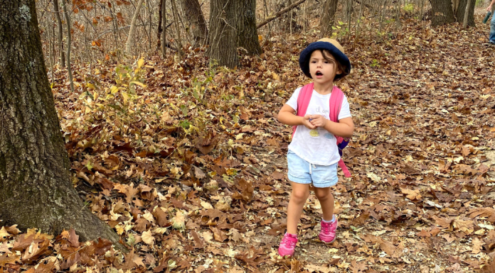 little girl hiking in leaves