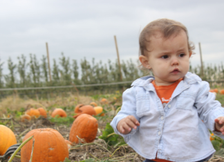 toddler girl at pumpkin patch