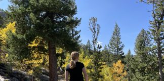 girl looking at fall leaves in Colorado