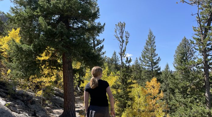 girl looking at fall leaves in Colorado